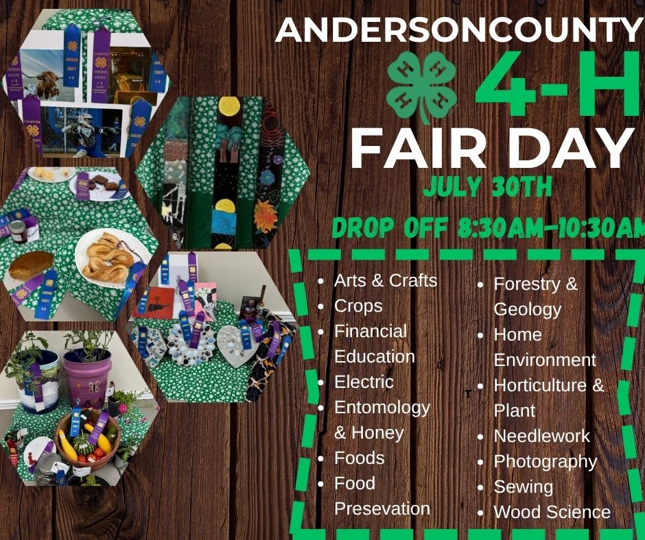 Flyer with 4-H Fair Day info
