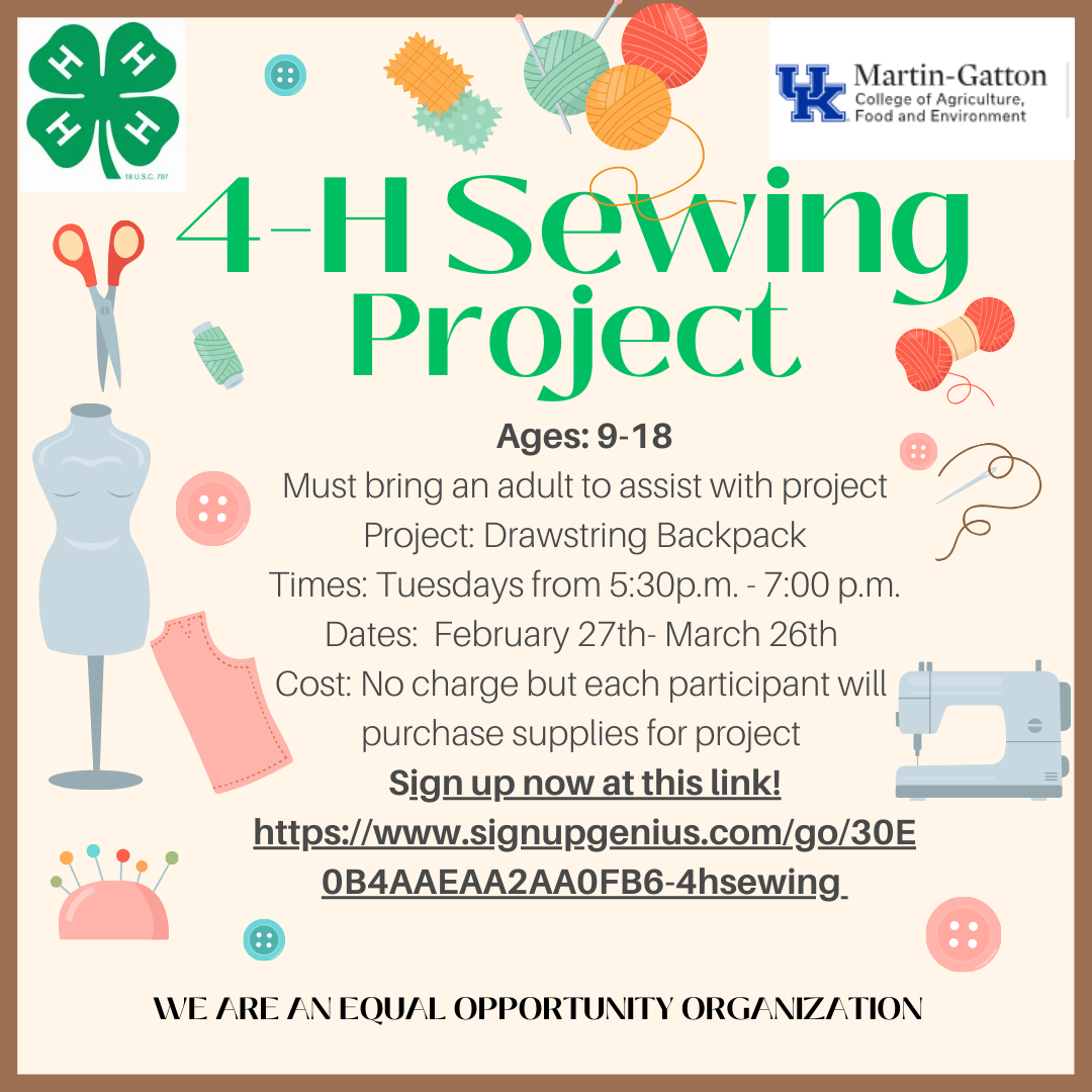 Flyer for 4-H Sewing Project with link 